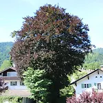 Alpen - Appartement